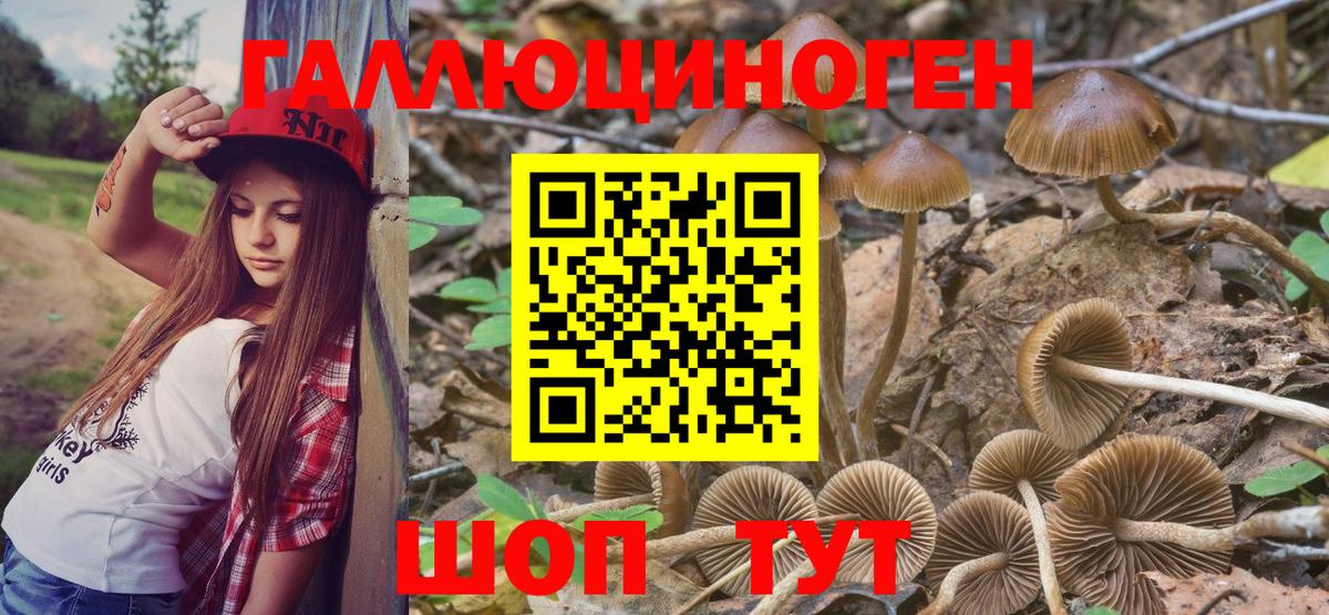 Псилоцибиновые грибы MAGIC MUSHROOMS  Псилоцибиновые грибы Psilocybe  Вход с VPN  Янаул 